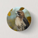 Search for tail badges Wildlife