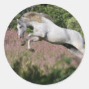 Search for galloping horse stickers Equestrian