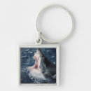 Search for amos key rings Superstock