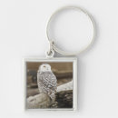 Search for aves key rings Bird