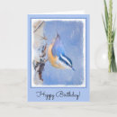 Search for nuthatch cards Red breasted nuthatch