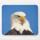 Search for homer mousepads Wildlife