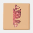 Search for fine art magnets Feather