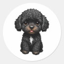 Search for cockapoo stickers Cute