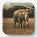 Search for elephant birthday plates Animals