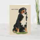 Search for australian shepherd cards Canine