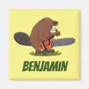 Search for scouting magnets Funny