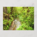 Search for green man postcards Forest