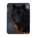 Search for black wolf magnets Wild animal