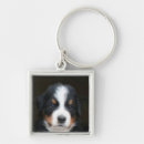 Search for bernese mountain dog key rings Pets