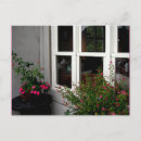 Search for window postcards Flowers
