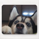 Search for blue eyes mousepads Funny