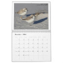 Search for bird calendars Photograph