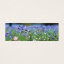 Search for centaurea Centaurea cyanus