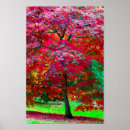 Search for maples posters Woods