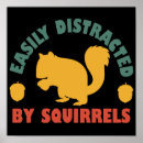 Search for squirrel lovers posters Squirrels