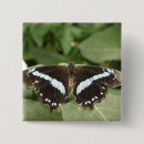 Search for lepidoptera badges Insects