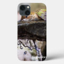 Search for hummingbird ipad cases Bird watching