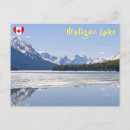 Search for frozen postcards Reflection