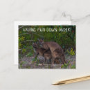 Search for kangaroo postcards Cute