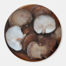 Search for edibles magnets Food