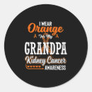 Search for i wear orange for my stickers Awareness