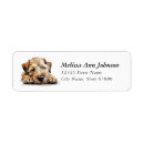 Search for wheaten terrier return address labels Dog