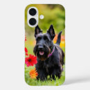 Search for scotty iphone cases Scottie