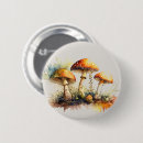 Search for toadstool badges Amanita muscaria