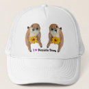 Search for toy hats Animal