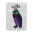 Search for owl magnets Animals