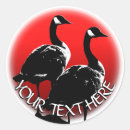 Search for canada goose stickers Waterfowl