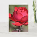 Search for love cards Red