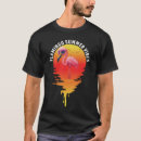Search for funny flamingo tshirts Birds