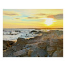 Search for gold beach posters Sun