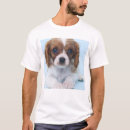Search for cavalier tshirts Puppy