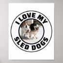 Search for sledding posters Sport