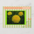 Search for make every day postcards Nature