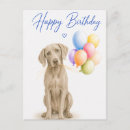 Search for weimaraner birthday cards Dog lover