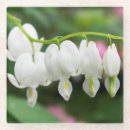 Search for maryland coasters Colour