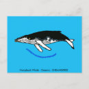 Search for humpback postcards Summer