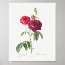 Search for maroon posters Floral