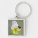 Search for ladybug key rings Outdoors