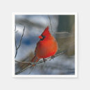 Search for red cardinal napkins Winter