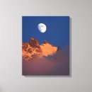 Search for blanc canvas prints Winter
