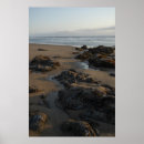 Search for tide pool posters Ocean