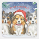 Search for sheltie stickers Puppy