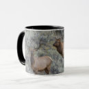 Search for elk antlers mugs Danita delimont