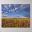 Search for skies posters Usa