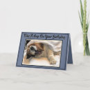 Search for dog napping cards Cute